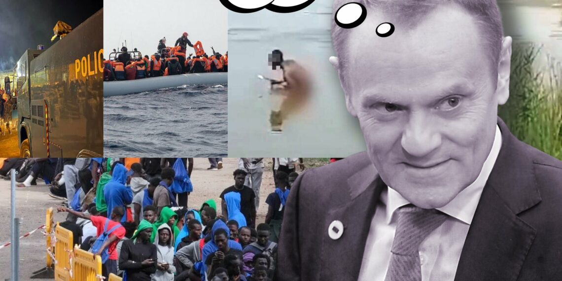 neo-Bierut Tusk i demokracja warcząca [PRAWY PROSTY EU]