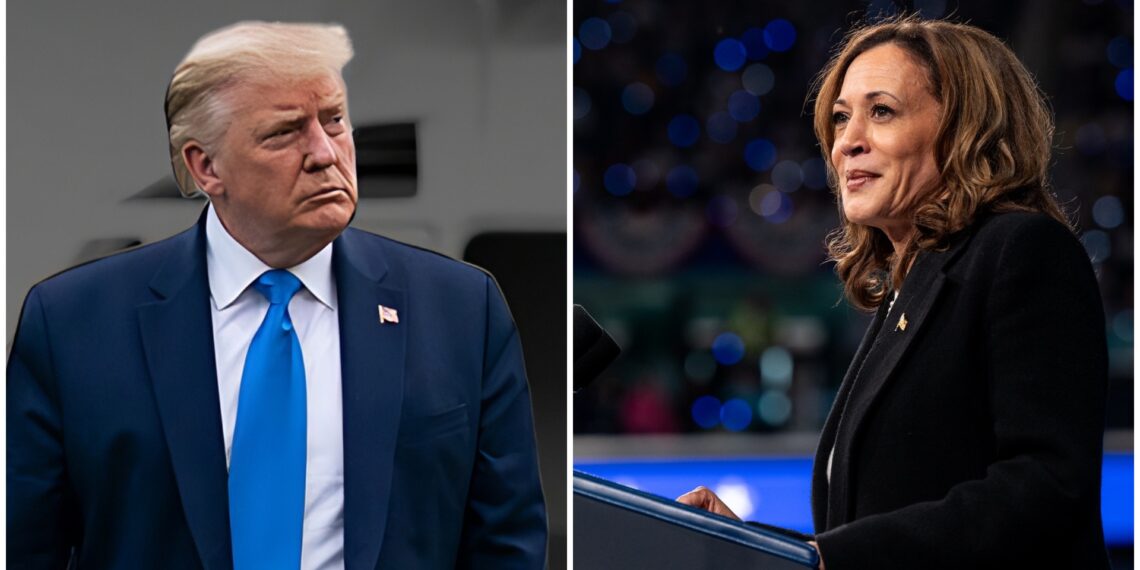 Ameryka wybiera! Co obiecuje Donald Trump, a co Kamala Harris?