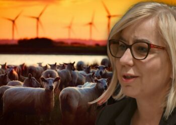 Hennig-Kloska chce 25 proc. Polski pod wiatraki. Branża przynosi w Europie gigantyczne straty