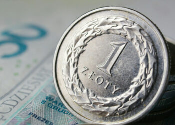 Polacy ruszyli po chwilówki. Minister z Lewicy komentuje: „Korzystne dla gospodarki” - img 7986 1