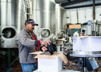 Mass Layoffs in Poland Reach Record Highs in 2024