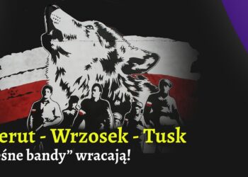 Bierut - Wrzosek - Tusk. „Leśne bandy”