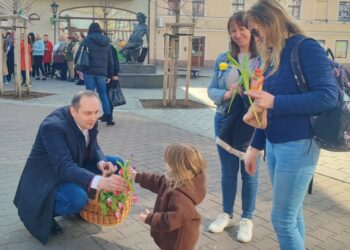 Sympatyczna akcja na zielonogórskim deptaku. Radny rozdawał paniom kwiaty