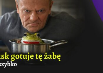 Tusk gotuje tę żabę za szybko [PREMIERA]