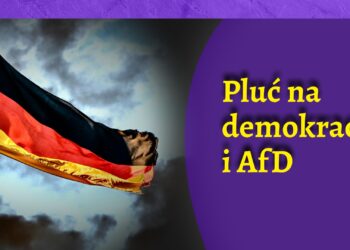 Pluć na demokrację i AfD