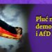 Pluć na demokrację i AfD