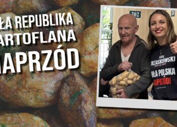 Cała kartoflana republika naprzód!