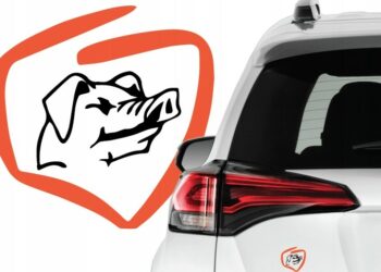 Wybory w PO: rtęciowa rzuciła ręcznik. Na placu boju pozostał wazeliniarz i pirat drogowy