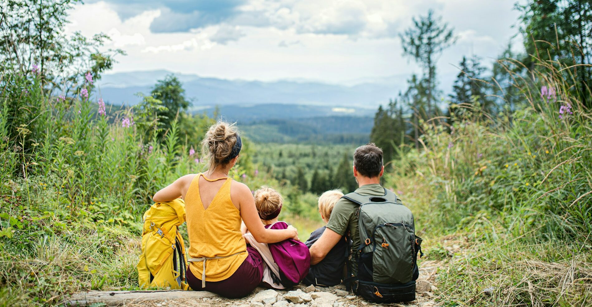 Wege-rewoluja to klęska! Europejczycy odrzucają propagandę i wracają do mięsa - getty images oHTqulvPoLo unsplash e1776749457488