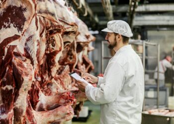 Mercosur i wielka hipokryzja UE. Brazylia jeszcze wczoraj „bezpieczna”, dziś z zakazem eksportu
