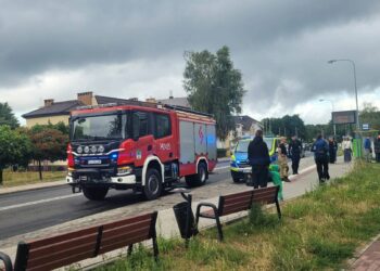 Akcja służb na osiedlu Pomorskim. Alarm podnieśli młodzi ludzie (filmy, zdjecia)