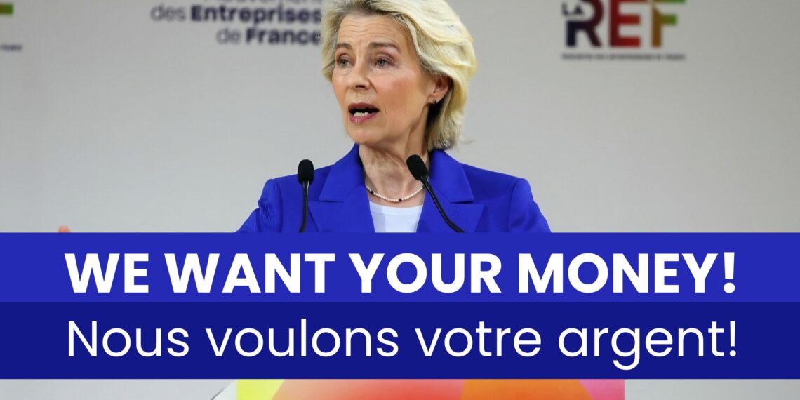 Von der Leyen chce Twoich oszczędności, bo projekt UE się gospodarczo sypie! 1 Von der Leyen chce Twoich oszczędności