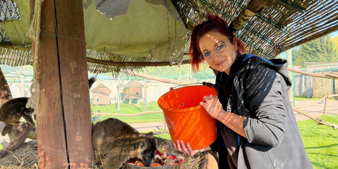 ZOO w Łącznej zdemolowane przez „organizację prozwierzęcą”. Co dalej z legalnością DIOZ i podobnych?
