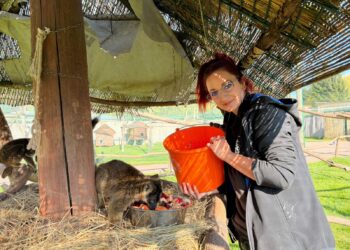 ZOO w Łącznej zdemolowane przez „organizację prozwierzęcą”. Co dalej z legalnością DIOZ i podobnych? 1 ZOO w Łącznej zdemolowane przez „organizację prozwierzęcą”. Co dalej z legalnością DIOZ i podobnych?