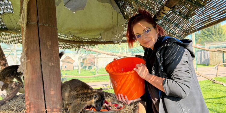 ZOO w Łącznej zdemolowane przez „organizację prozwierzęcą”. Co dalej z legalnością DIOZ i podobnych?